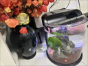 寵盒客廳魚(yú)缸超白智能水族箱家用造景側濾觀(guān)賞魚(yú)熱帶魚(yú)斗魚(yú)生態(tài)金魚(yú)缸 黑色圓型超白魚(yú)缸+造景大禮包 +豪華版濾材 曬單實(shí)拍圖