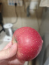 京鮮生 新疆阿克蘇蘋(píng)果4.5斤裝單果75mm+ 生鮮水果源頭直發(fā)包郵 曬單實(shí)拍圖