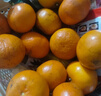 【當季爆甜】正宗廣西砂糖橘當季新鮮水果薄皮沙糖桔子蜜桔蜜橘子 砂糖橘帶箱2斤 曬單實(shí)拍圖
