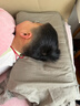 貝·曲寶貝曲寶 3-18歲兒童枕護脊成長(cháng)深睡側睡趴睡慢回彈記憶棉枕 凈月白 A類(lèi) 單只 中枕 6cm ：(一段)身高95-150cm 曬單實(shí)拍圖