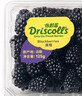 怡顆莓Driscoll's怡顆莓 黑莓125g 曬單實(shí)拍圖