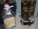 卓譽(yù)珍品高粱酒60度泡酒專(zhuān)用酒清香型白酒純糧食酒桶裝白酒桶裝5L自飲 曬單實(shí)拍圖