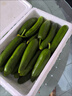 壽光水果黃瓜小黃瓜生吃脆嫩清甜涼拌蘸醬乳瓜農家自種現摘現發(fā) 水果黃瓜帶箱 5斤 凈重4.8斤 曬單實(shí)拍圖