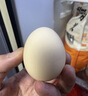 趣嘗鮮五谷鮮雞蛋15枚/盒 凈重750g 源頭直發(fā) 曬單實(shí)拍圖