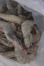 東上御品 國產(chǎn)青島大蝦 特大號白蝦 2030規格 凈重3斤 盒裝活凍 曬單實(shí)拍圖