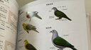 （加贈鳥(niǎo)類(lèi)貼紙）中國鳥(niǎo)類(lèi)觀(guān)察手冊鳥(niǎo)類(lèi)圖鑒百科全書(shū) 觀(guān)鳥(niǎo)手冊中國鳥(niǎo)類(lèi)大全 鳥(niǎo)類(lèi)行為動(dòng)物科普讀物 中國國家地理書(shū)籍 包含1491種鳥(niǎo) 曬單實(shí)拍圖