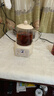 志高（CHIGO）養生壺小型一人全玻璃0膠水煮茶燉煮一體辦公室靜音電燉杯0.5L燒水壺燒水杯生日禮物BG-YSB202 曬單實(shí)拍圖