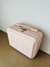 旅大俠時(shí)尚簡(jiǎn)約手提箱女輕便便攜旅行箱高顏值小型行李箱學(xué)生收納化妝箱 高雅粉 14英寸 曬單實(shí)拍圖