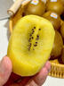 山姆伯伯 金奇異果【順豐多地次日達】陽(yáng)光金果獼猴桃非新西蘭水果禮盒裝 【甜度升級-80%選*】特選果 115-125g 8枚【超值裝-80%選】狠劃算 曬單實(shí)拍圖