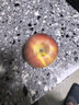 京喜加正宗紅富士丑蘋(píng)果脆爽多汁應季紅富士蘋(píng)果新鮮蘋(píng)果多倉混發(fā) 整箱2斤凈重1.7斤A+級中果【果徑70-75】 曬單實(shí)拍圖