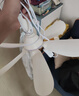 志高（CHIGO）小吊扇 小型電風(fēng)扇 小風(fēng)扇家用學(xué)生宿舍床上大風(fēng)力6頁(yè)蚊帳扇懸掛式微風(fēng)吊扇便攜小電扇 新升級-標配款6葉 曬單實(shí)拍圖