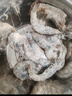 鮮京采 原裝進(jìn)口厄瓜多爾白蝦 凈重3.3斤 大號30-40規格 50-66只/盒 曬單實(shí)拍圖