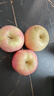甜醉了 煙臺蘋(píng)果棲霞紅富士新鮮水果生鮮山東特產(chǎn)脆甜整箱平果禮盒禮品 凈重5斤 85mm 曬單實(shí)拍圖