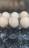 CP正大可生食鮮雞蛋30枚 3.36斤 達到可生食標準  禮盒裝 曬單實(shí)拍圖
