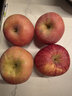 【產(chǎn)地直采】山東棲霞紅富士蘋(píng)果4粒約950g 曬單實(shí)拍圖