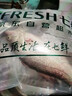 【吊水魚(yú)】鮮活大河鱸魚(yú)600/條 曬單實(shí)拍圖