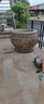 吉品帝石缸庭院水缸做舊養魚(yú)青石頭水槽花盆戶(hù)外門(mén)海石頭魚(yú)缸池石雕擺件 直徑60*高50厘米(A款) 曬單實(shí)拍圖