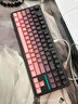前行者（EWEADN）X87S/Ultra無(wú)線(xiàn)客制化機械鍵盤(pán)有線(xiàn)藍牙三模電競Gasket結構87鍵熱插拔游戲辦公筆記本電腦通用外設 曬單實(shí)拍圖