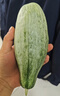 京鮮生山東頭茬羊角蜜甜瓜 單果300g起 凈重3斤 水果源頭直發(fā)包郵 曬單實(shí)拍圖