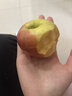 京喜加 紅富士蘋(píng)果今年新果 脆甜可口 新鮮采摘 產(chǎn)地直發(fā) 4個(gè)嘗鮮裝凈重1斤單果65mm+ 曬單實(shí)拍圖
