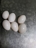 保衛蛋蛋新鮮鴿子蛋農家孕婦寶寶雜糧喂養送禮禮盒年貨節禮盒送禮 初生頭產(chǎn)丨鴿子蛋30枚（400g） 曬單實(shí)拍圖