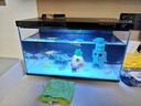 米家小米米家智能生態(tài)魚(yú)缸還原自然生態(tài)補倉一次三月無(wú)憂(yōu)出差旅行必備 曬單實(shí)拍圖