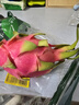 越南白心火龍果2粒900g 曬單實(shí)拍圖