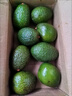 京鮮生 智利即食牛油果大果4粒裝 單果130g起 源頭直發(fā) 包郵 生鮮水果 曬單實(shí)拍圖