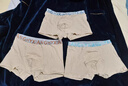 恒源祥男士?jì)妊澫x(chóng)草升級天然彩棉10A抗菌平角褲青年大碼短褲 曬單實(shí)拍圖