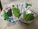 【種子大全】12種蔬菜種子四季菜種子陽(yáng)臺盆栽綠植庭院易種春秋 香菜+菠菜+生菜+小白菜+小蔥 曬單實(shí)拍圖
