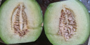 京鮮生 海南網(wǎng)紋蜜瓜 1粒裝 單果2斤起 生鮮水果   曬單實(shí)拍圖