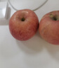 佳農 煙臺紅富士蘋(píng)果 凈重10斤 特級果 單果240g+ 生鮮禮盒 曬單實(shí)拍圖