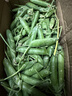 新鮮甜豌豆農家自種新鮮蔬菜豆角豆米現摘現發(fā)豌豆莢 四川甜豌豆凈重5斤 曬單實(shí)拍圖