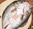 鮮活沖浪河鱸魚(yú)400-500g/條 曬單實(shí)拍圖