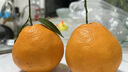 京鮮生 四川春見(jiàn)耙耙柑 凈重5斤 單果180g起 生鮮水果柑橘桔子禮盒 曬單實(shí)拍圖