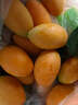 京地達泰國枇杷芒果迷你小芒果凈重2斤單果30g進(jìn)口熱帶水果源頭直發(fā)包郵 曬單實(shí)拍圖