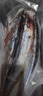 大號秋刀魚(yú) 3-5條/斤無(wú)冰凈重新鮮海捕鮮活冷凍海鮮燒烤食材魚(yú)類(lèi) 海捕秋刀魚(yú)4斤（3-5條/斤） 曬單實(shí)拍圖