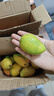 京喜加云南玉芒大青皮芒果新鮮應季水果 帶箱2斤單果200g+ 曬單實(shí)拍圖
