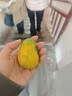 海南臺農芒果 熱帶水果臺農芒甜心芒新鮮雞蛋芒整箱批發(fā) 小臺芒1個(gè)嘗鮮裝 曬單實(shí)拍圖