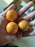 【東東農場(chǎng)專(zhuān)供】廣西融安滑皮金桔純甜無(wú)酸新鮮水果整箱包郵現貨 2斤 滑皮金桔 特果(約21-26個(gè)/斤) 曬單實(shí)拍圖