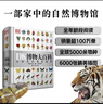 DK博物大百科（老版）  曬單實(shí)拍圖