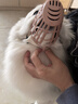 憨憨樂(lè )園寵物狗狗嘴套小中型犬防狗咬咬人防叫亂吃安全嘴罩口罩用品 3號 曬單實(shí)拍圖