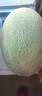 北緯23°西州蜜瓜約1.3kg 曬單實(shí)拍圖