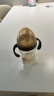 世喜嬰兒學(xué)飲杯7個(gè)月以上鴨嘴杯PPSU喝水奶瓶防嗆重力球吸管水杯300ml 曬單實(shí)拍圖