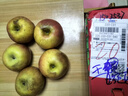 阿克蘇蘋(píng)果新疆阿克蘇冰糖心蘋(píng)果當季應季新鮮時(shí)令水果紅富士整箱丑蘋(píng)果 12枚【精品超大果】禮盒裝?單果280g+ 曬單實(shí)拍圖