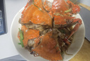 舟山梭子蟹鮮活特大野生大螃蟹新鮮冷凍海鮮水產(chǎn)海蟹飛蟹白蟹順豐 凈重3-4兩/只【10只 精品野生】 曬單實(shí)拍圖