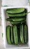 壽光水果黃瓜小黃瓜生吃脆嫩清甜涼拌蘸醬乳瓜農家自種現摘現發(fā) 水果黃瓜帶箱 5斤 （凈重4.5斤） 曬單實(shí)拍圖