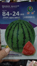 【虧本沖量】8424麒麟少籽西瓜種子無(wú)籽特大高產(chǎn)巨型甜王四季水果 8424西瓜種子/包約50粒 1包 曬單實(shí)拍圖