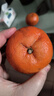 廣西沃柑新鮮水果當季整箱時(shí)令新鮮現摘斤沙糖蜜橘砂糖柑橘桔子橘 大果1斤帶箱 單果65-70mm 曬單實(shí)拍圖