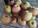 龍多鮮正宗天然冰糖心蘋(píng)果 丑蘋(píng)果 新鮮富士應季山西水果 送禮推薦 整9-10斤精選好果 約130-180g 凈8.5斤 曬單實(shí)拍圖